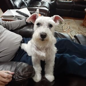 Meet your Posher, Katherine